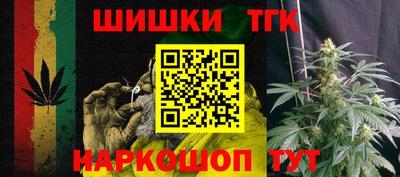 Альфа ПВП Будённовск