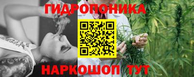 Альфа ПВП Будённовск