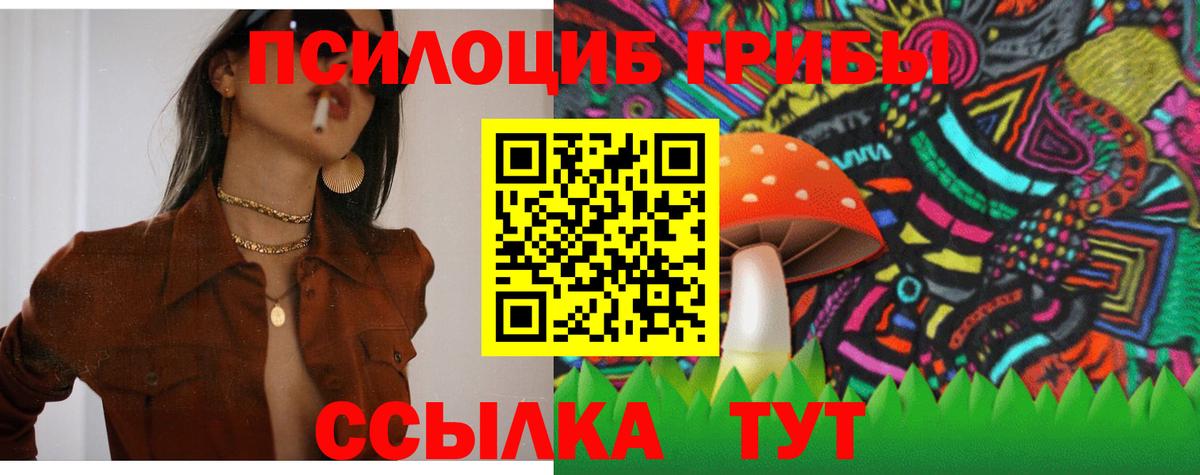 Галлюциногенные грибы Magic Shrooms Брянск