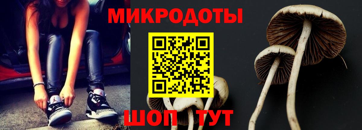 Брянск  Галлюциногенные грибы Psilocybine cubensis  Вход с VPN  Галлюциногенные грибы ЛСД 